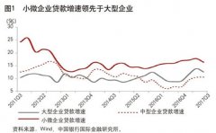 中国银行国际金融研究所所长：如何缓解中小